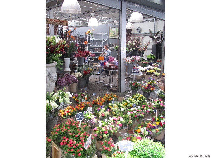 19-FlowerMarket