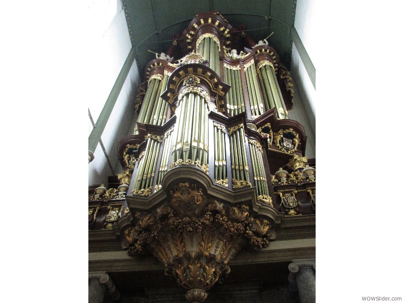 34-Organ