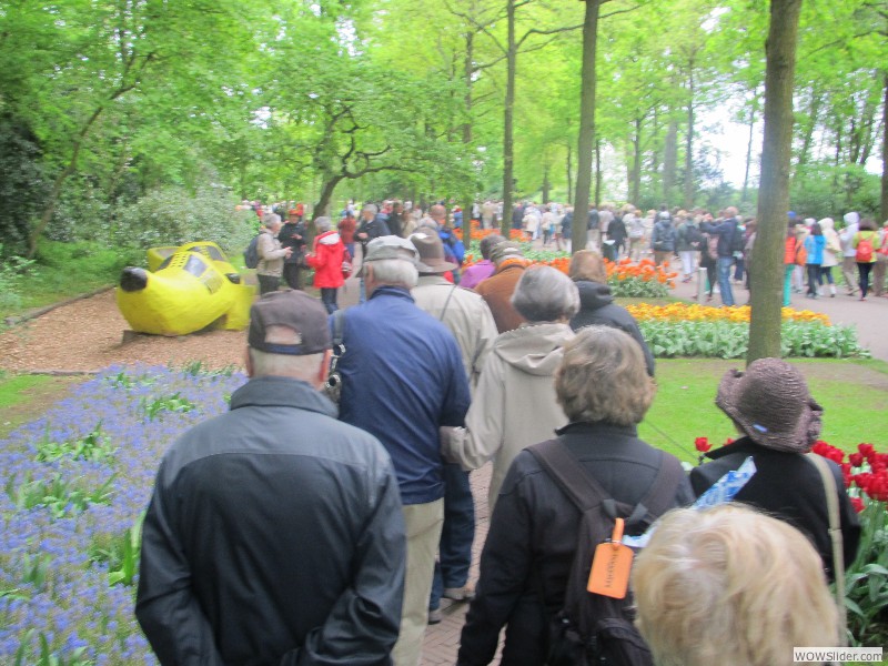 42-Keukenhof