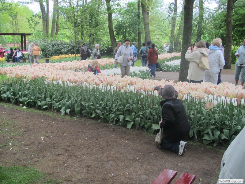 44-Keukenhof