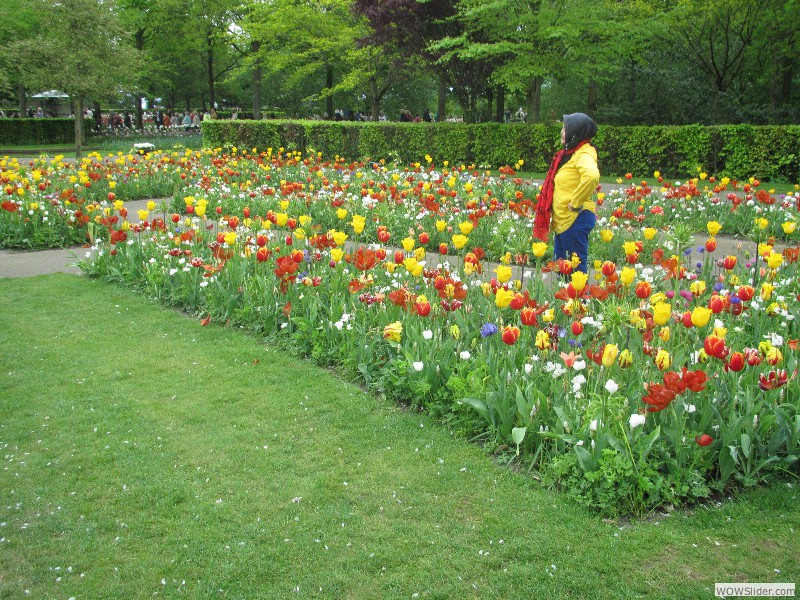 49-Keukenhof