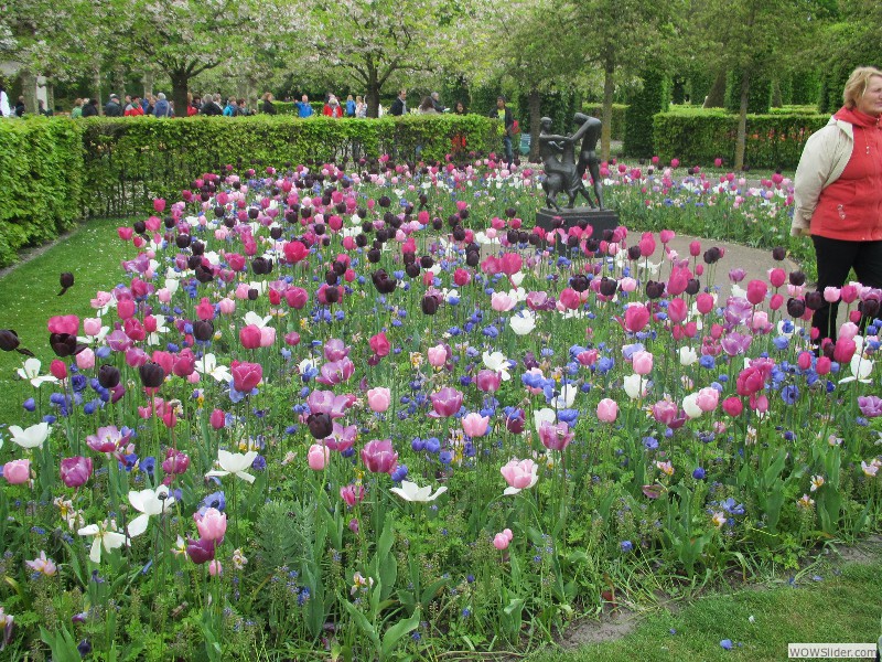 50-Keukenhof