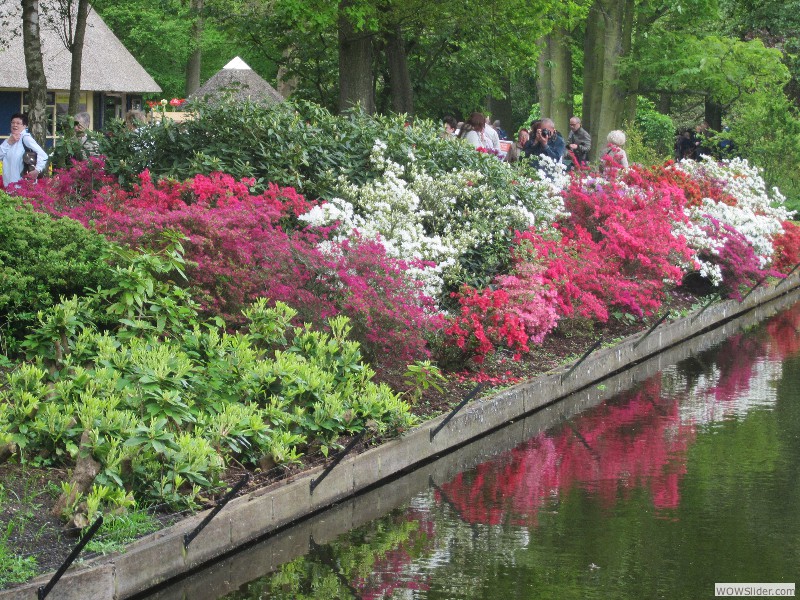 60-Keukenhof