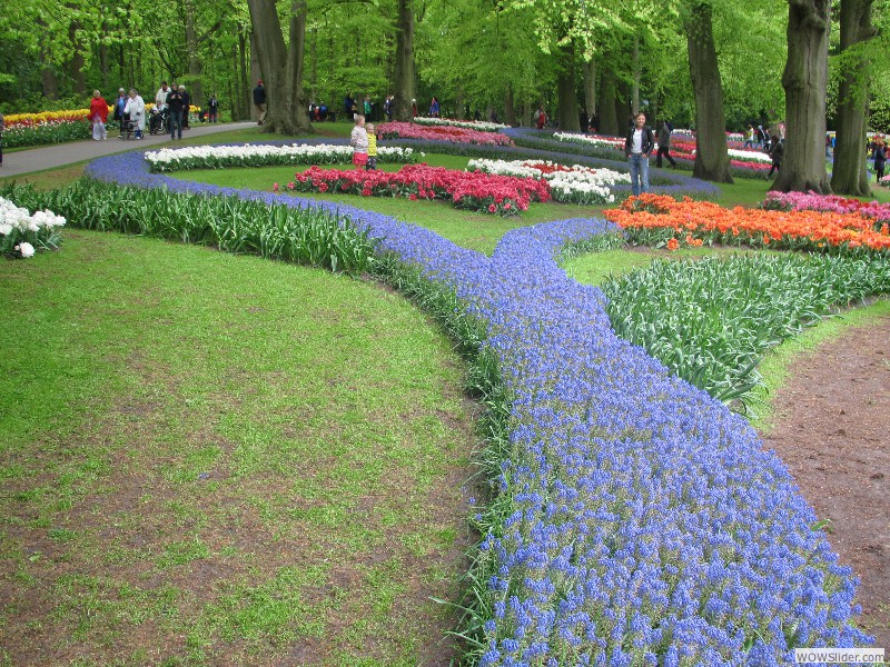 72-Keukenhof