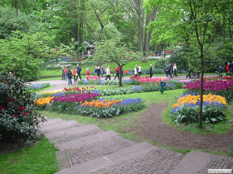 77-Keukenhof