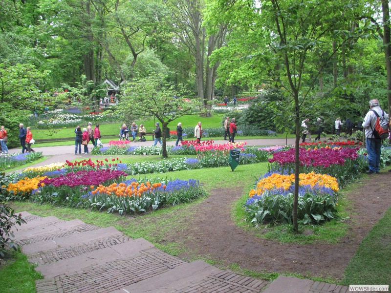 78-Keukenhof