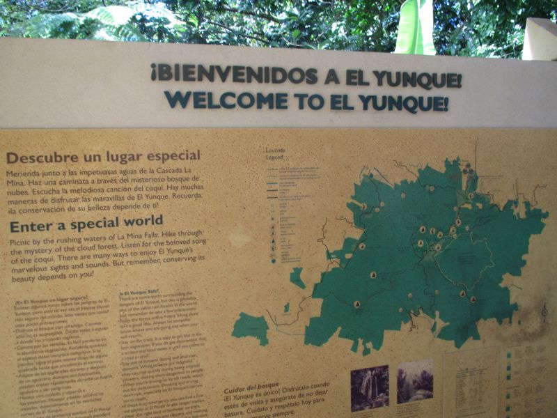 20-ElYunque-RainForest