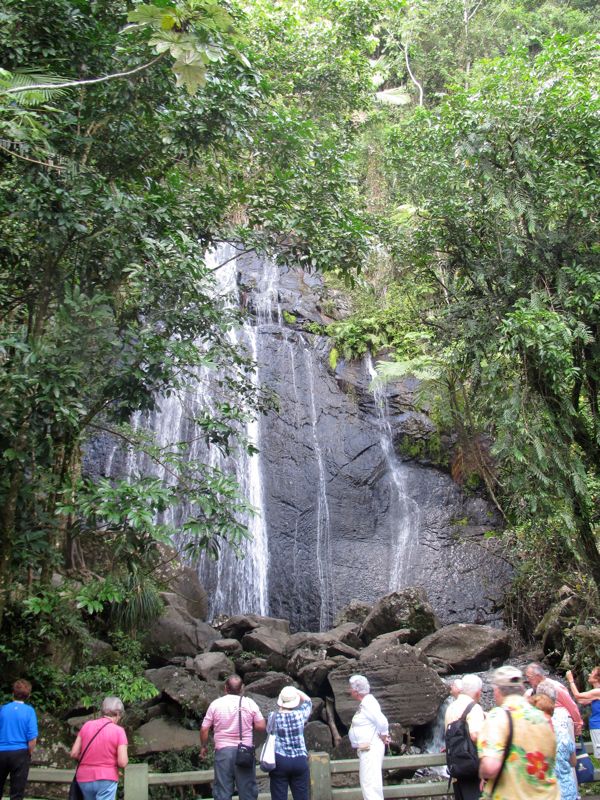 40-ElYunque