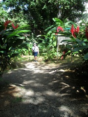 35-ElYunque