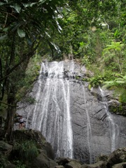 37-ElYunque-Cascada