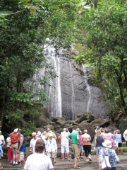 38-ElYunque