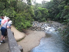 44-ElYunque