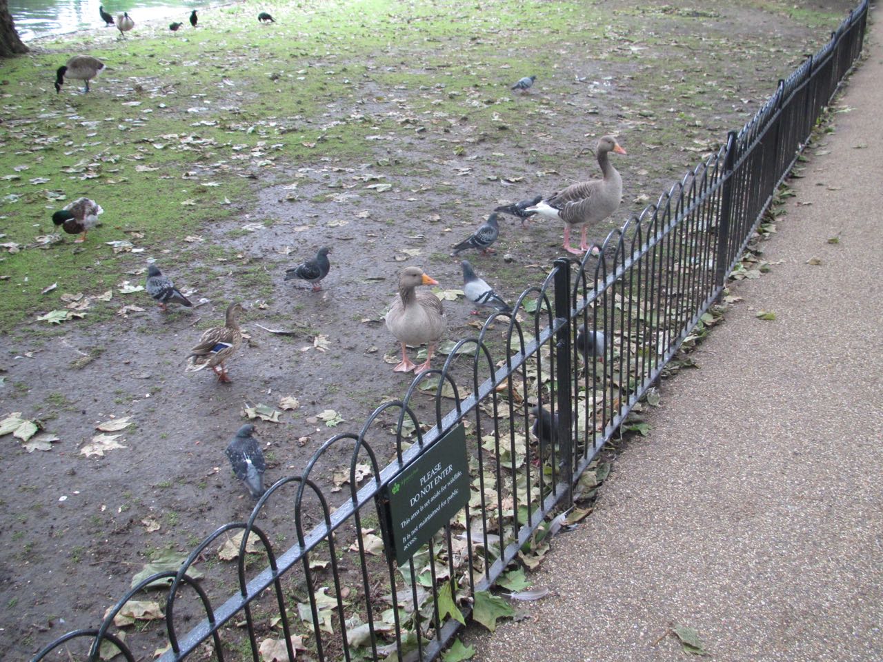 03-StJamesPark