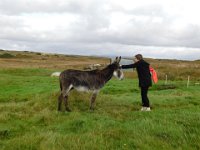 Emily&Donkey