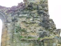 BylandAbbeyRuins