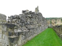 BylandAbbeyRuins