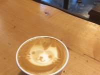 IMG 1378  09-LatteFoam-withCat