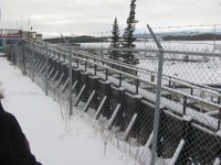 Fish Ladder on Yukon