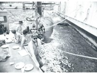 Diver's barge after the crunch 1977
