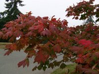 2007 09 12 Hurricane Ridge 001