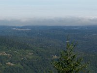 2007 09 12 Hurricane Ridge 033