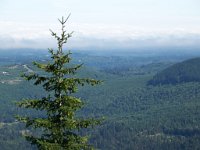 2007 09 12 Hurricane Ridge 034