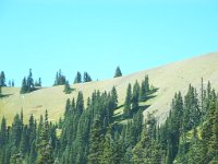 2007 09 12 Hurricane Ridge 041