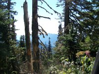 2007 09 12 Hurricane Ridge 062