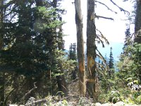 2007 09 12 Hurricane Ridge 063