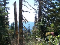 2007 09 12 Hurricane Ridge 065