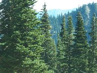 2007 09 12 Hurricane Ridge 066