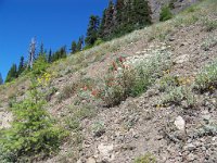 2007 09 12 Hurricane Ridge 088