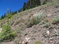 2007 09 12 Hurricane Ridge 089