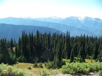 2007 09 12 Hurricane Ridge 092