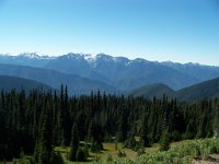 2007 09 12 Hurricane Ridge 093