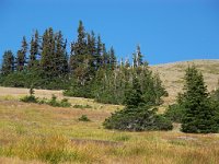 2007 09 12 Hurricane Ridge 109