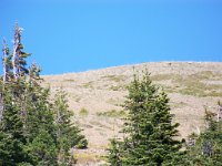 2007 09 12 Hurricane Ridge 110