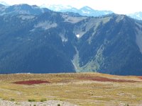 2007 09 12 Hurricane Ridge 116