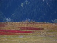 2007 09 12 Hurricane Ridge 117