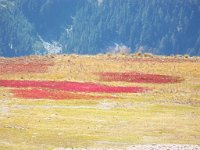 2007 09 12 Hurricane Ridge 120