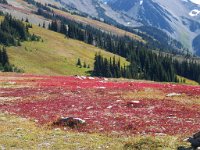 2007 09 12 Hurricane Ridge 121