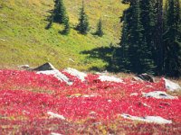 2007 09 12 Hurricane Ridge 122