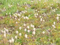 2007 09 12 Hurricane Ridge 139