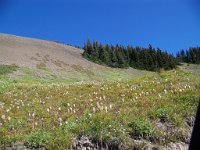 2007 09 12 Hurricane Ridge 140