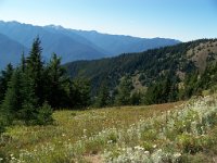 2007 09 12 Hurricane Ridge 173