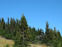 20070912-OlympicNP23-ObstructionPt6-BeautifulSky