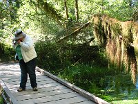 20070913-OlympicNP-HohRainForest08-Dolores