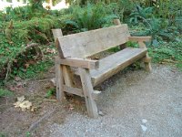 20070913-OlympicNP-HohRainForest32-Bench