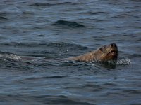 2007 09 17 Juneau 090