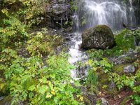 2007 09 17 Juneau 228